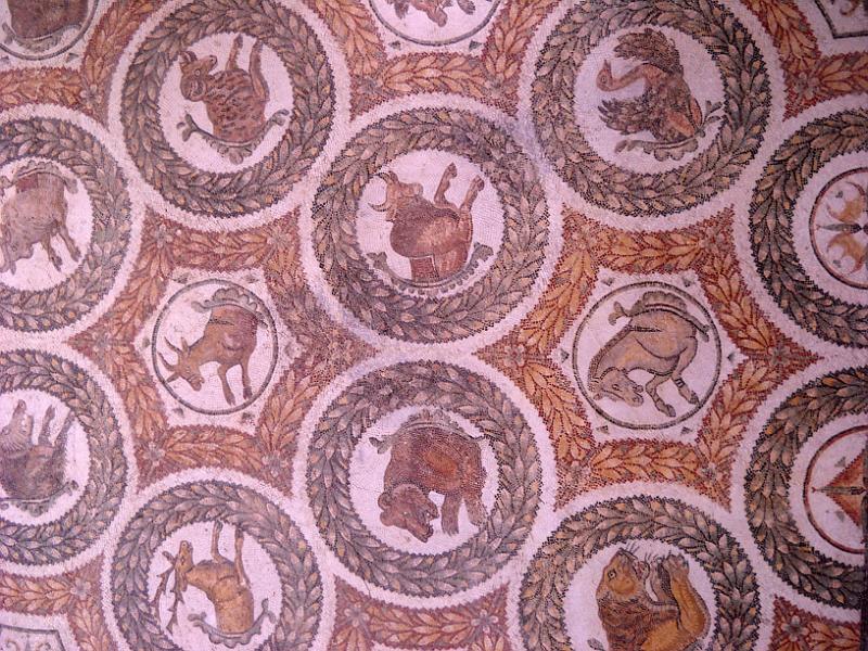 BARDO 00 (13).jpg